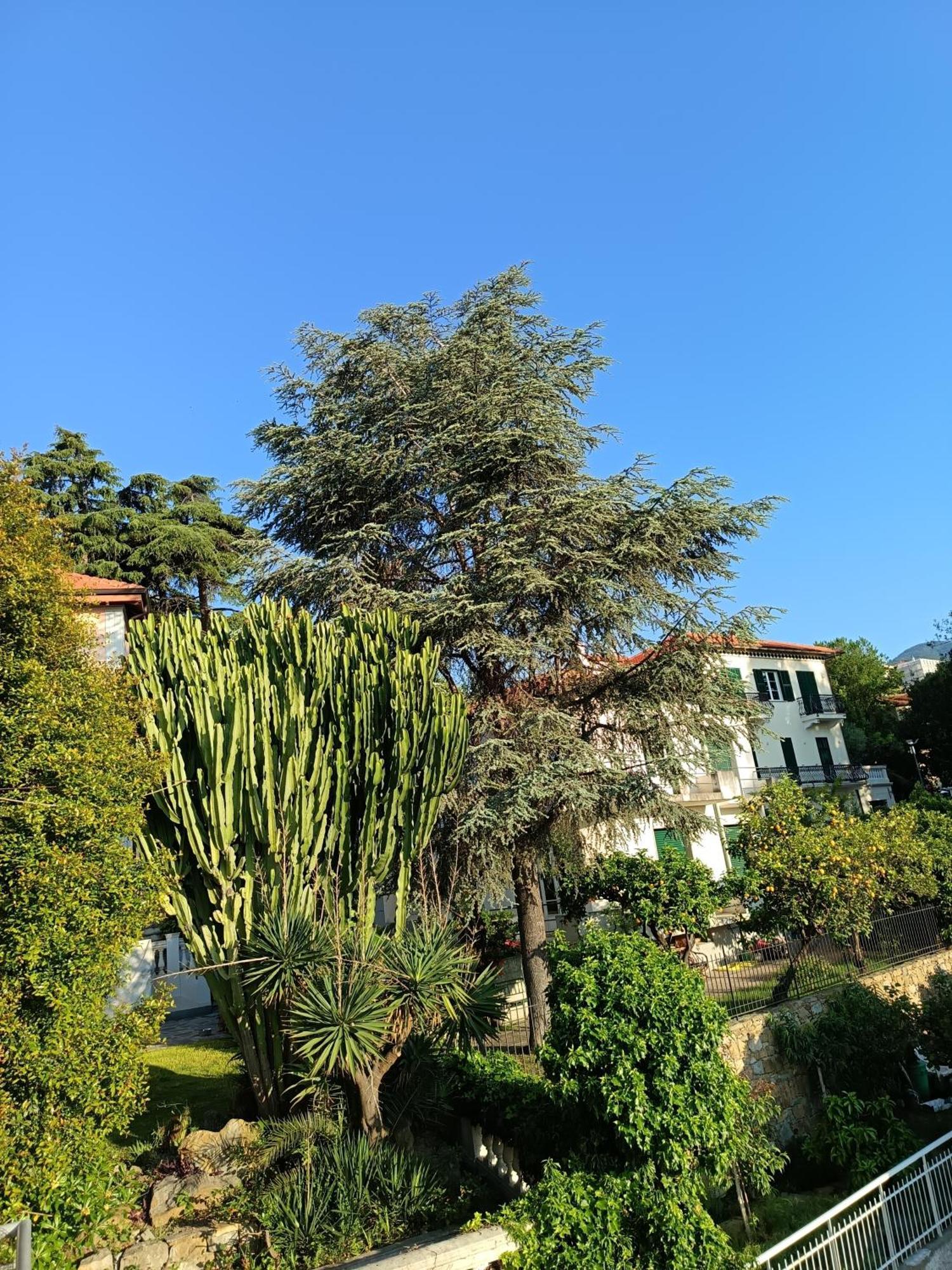דירות סנרמו Casa Francesca Con Parcheggio Gratuito מראה חיצוני תמונה